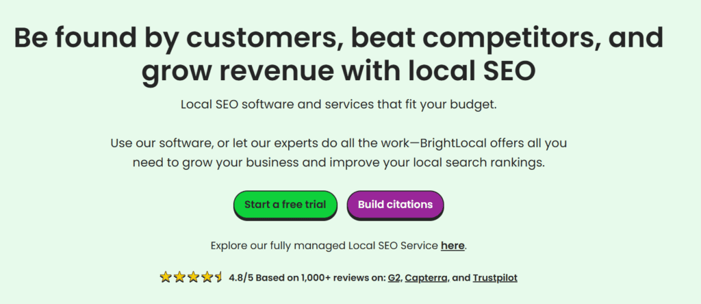 seo tool for business